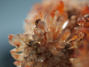 Creedite